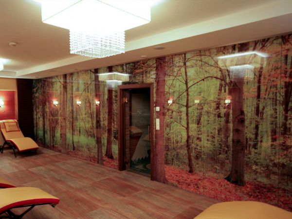 Hotel Alpenhof Zauchensee - Ruheraum Glaswand bedruckt mit Waldpanoramabild