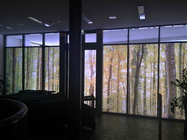 Sporthotel Wagrain - Verglasung mit Waldpanorama gedruckt auf Satinatofolie mit mattem Schutzlaminat